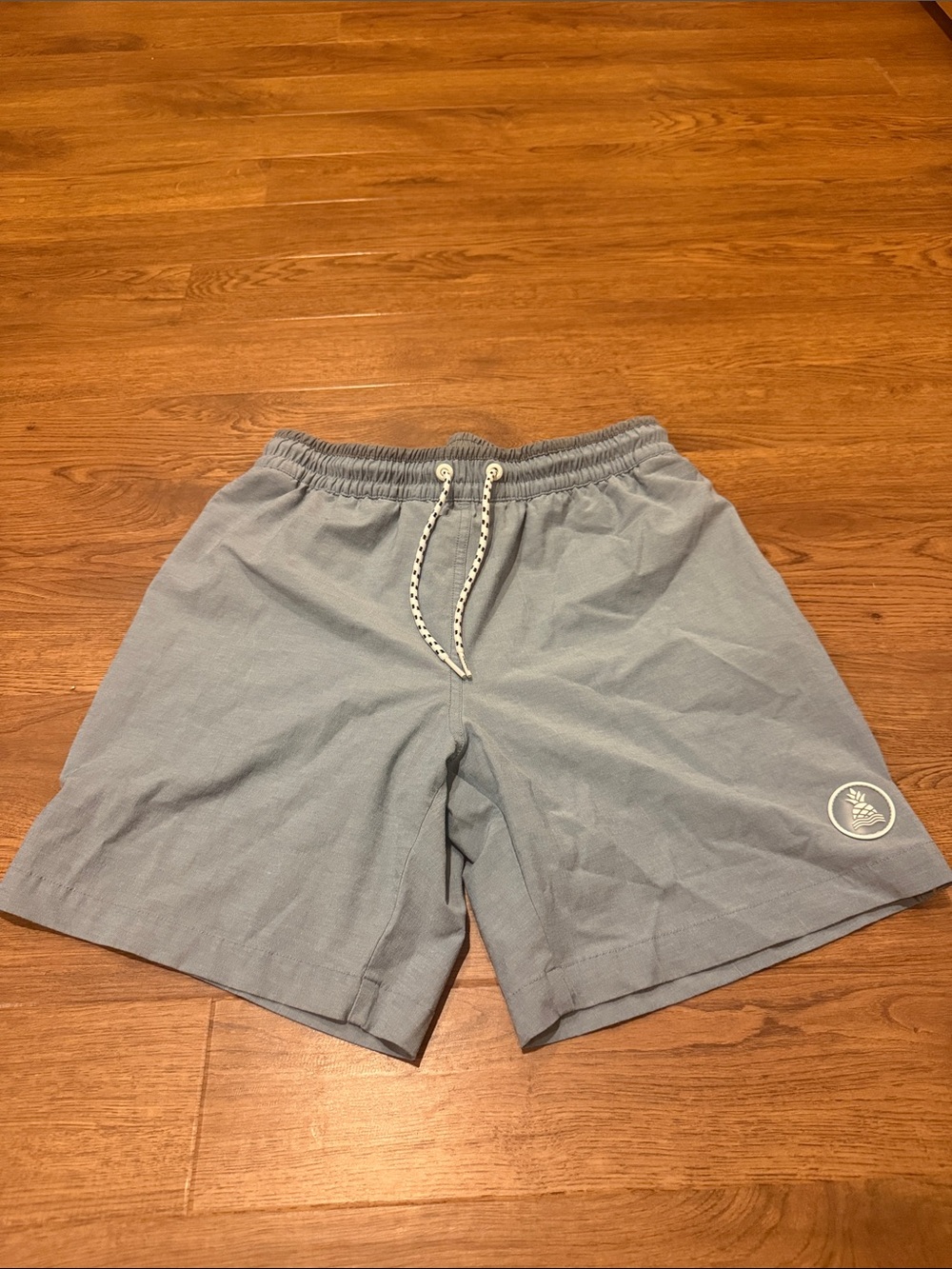 chubbies Light Blue Swim Shorts with Gray Waistband